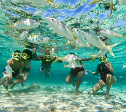 VIVE LA MAGIA DE CAYO ARENA