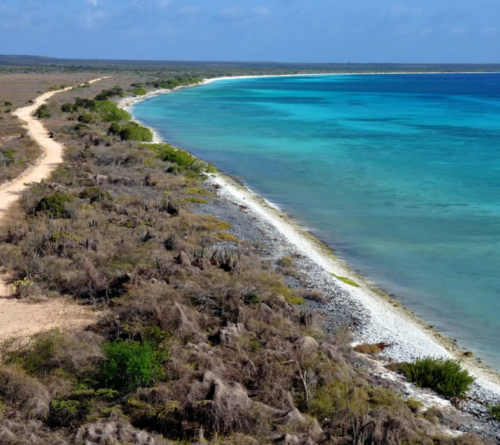 BAHIA DE LAS AGUILAS