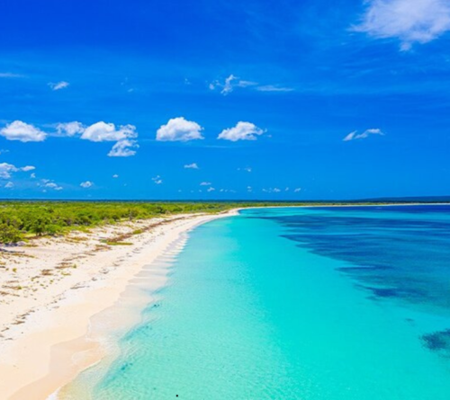 BAHIA DE LAS AGUILAS