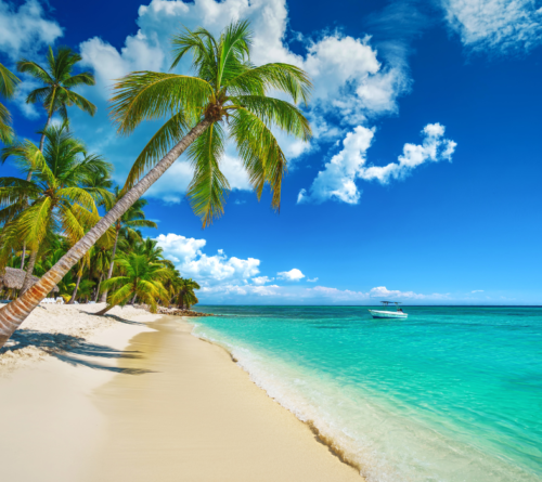 ¡ESCAPATE A LA ISLA SAONA!