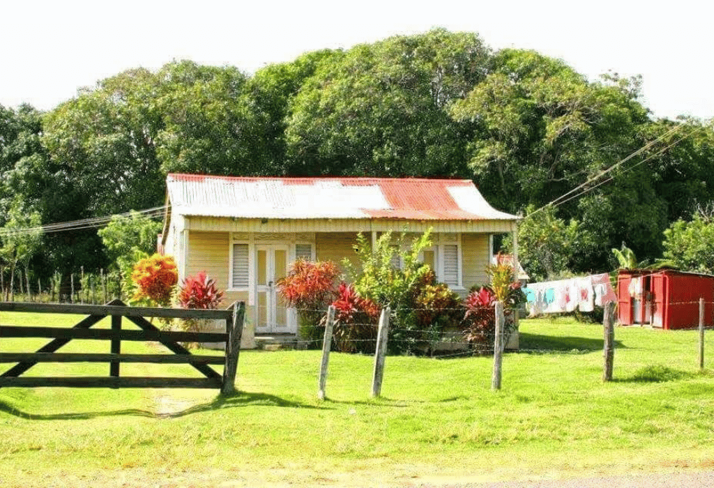 Volver al Patio: El Sueño de Todos los Dominicanos que viven Fuera.