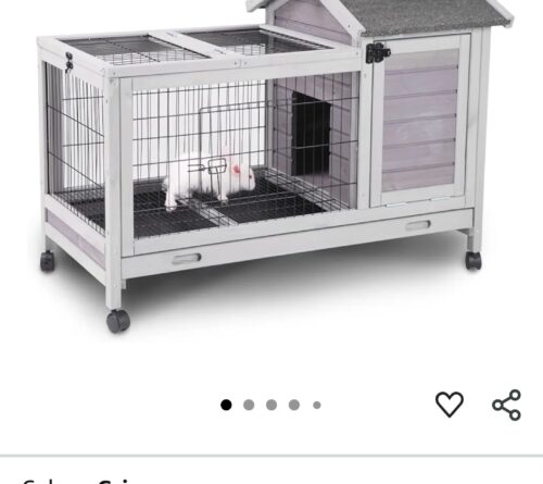 Conejo _ Rabbit  on Sale