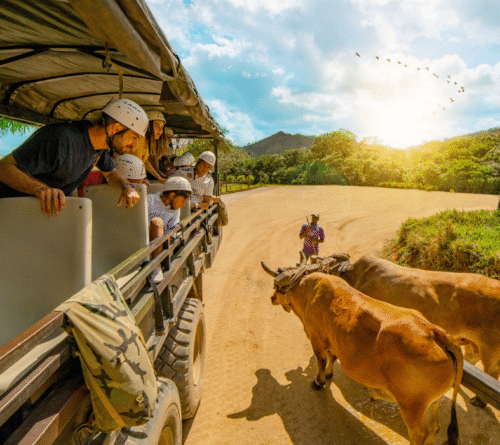 7 Experiencias por el Precio de 1 – La Hacienda Park Tour Punta Cana