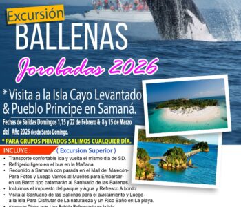 Excursion Ballenas Jorobadas