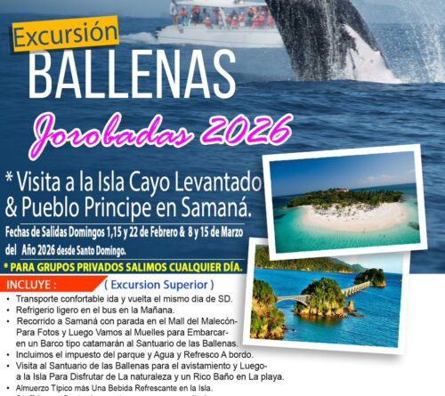 Excursion Ballenas Jorobadas