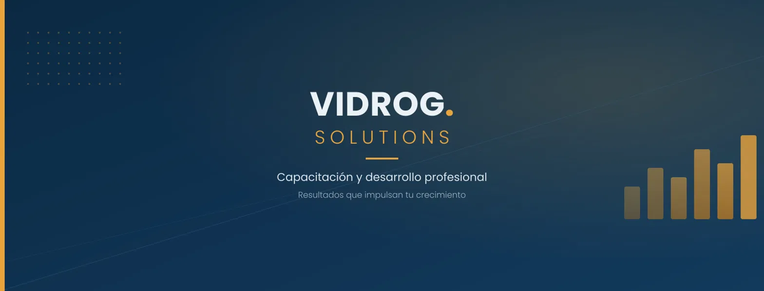 Portada de VIDROG SOLUTIONS